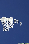32 FESTIVAL CERVIA 2012 - 191